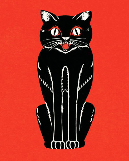 Black Cat Working + Luck + Return Lost Love + Invisibility + Avoid Danger + Gato Negro