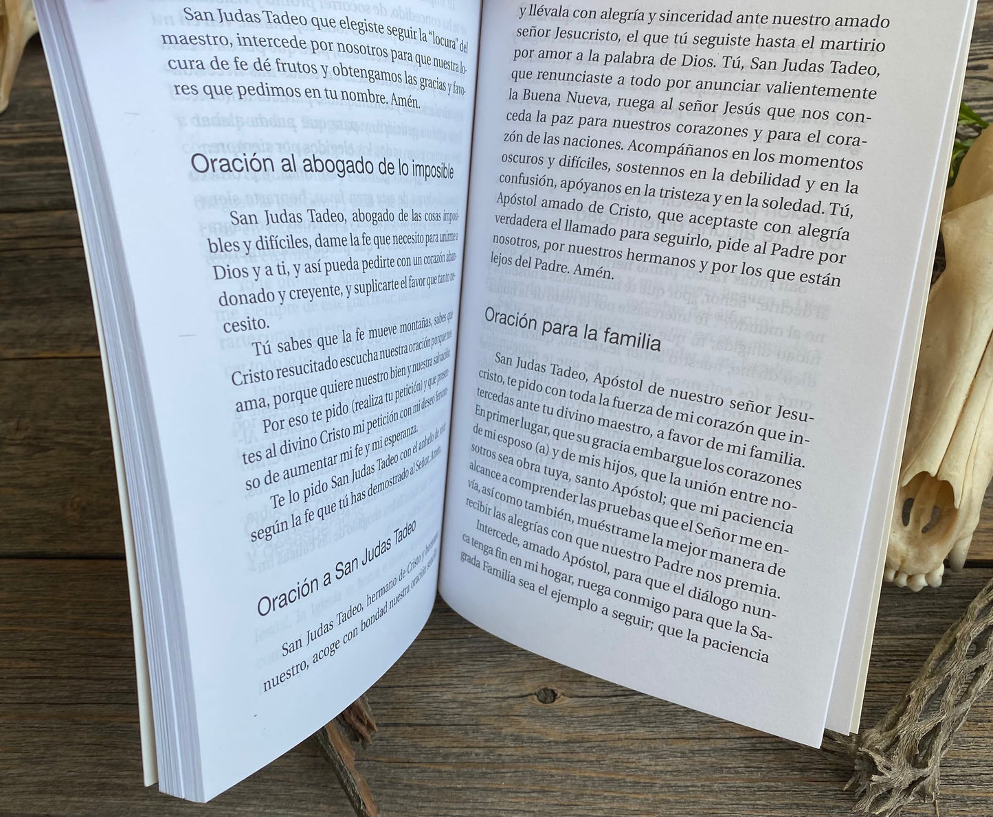 San Judas Tadeo Novenario y Devocionario + New Book From Mexico + Libro + Saint Jude