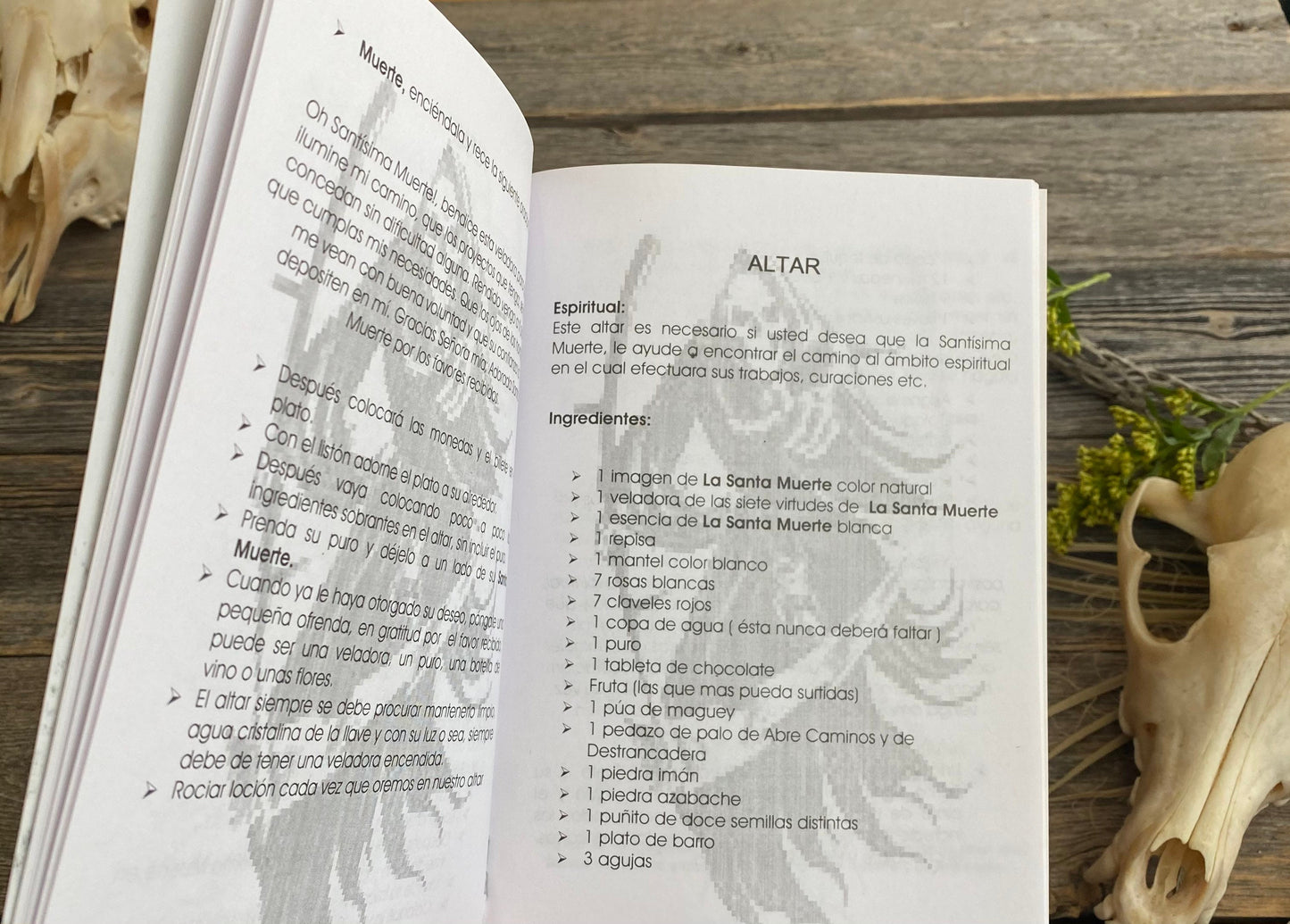 Santa Muerte Del Hogar + From Mexico *NEW BOOK* Libro