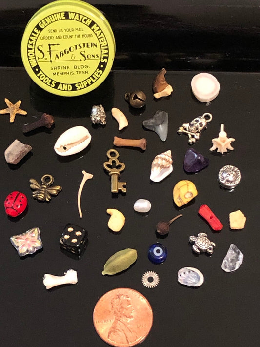 Small Vintage Fargostein Tinned Travel Bone, Shell, and Trinket Divination Collection (35 Pieces)