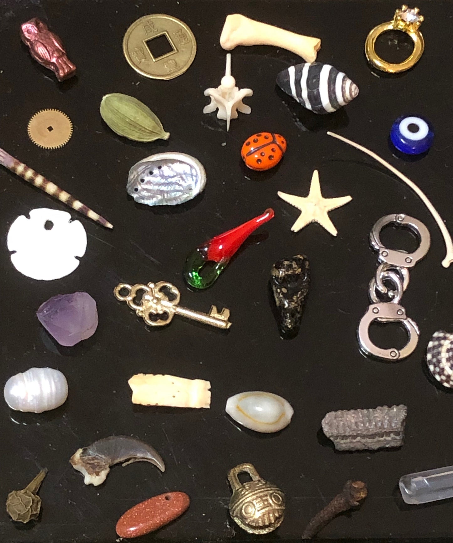 Medium Vintage Fargostein Tinned Travel Bone, Shell, and Trinket Divination Collection (40 Pieces)