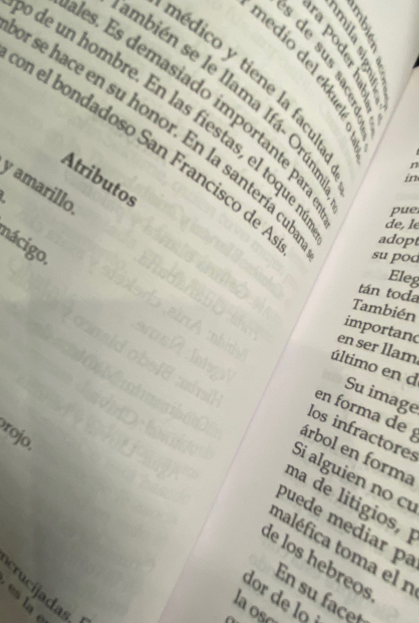 Santeria + Ritos, Adivinacion, y Magia + From Mexico *NEW BOOK*