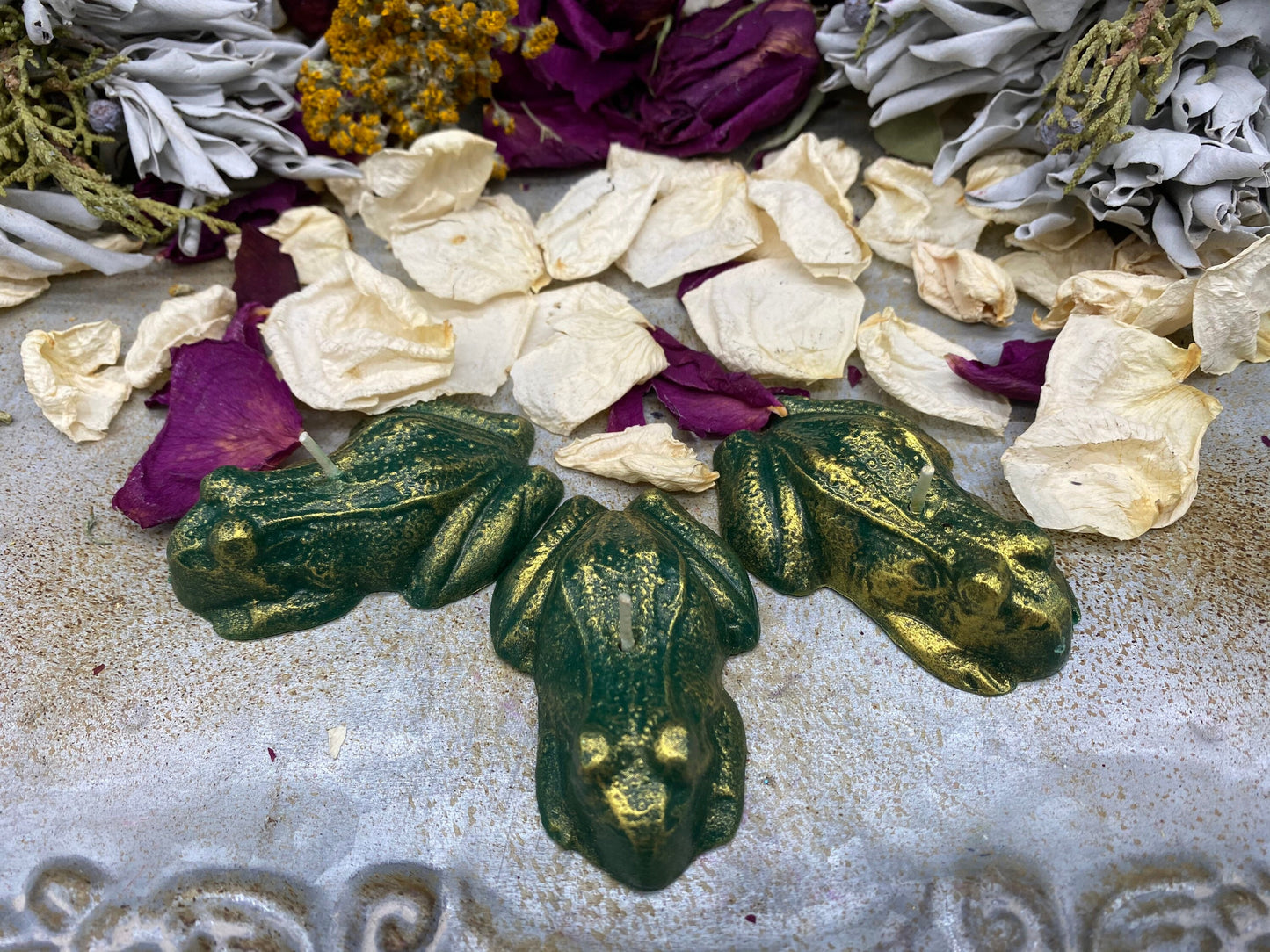 Three Frog / Toad Candles + Healing + Money + Luck + Saint Cyprian