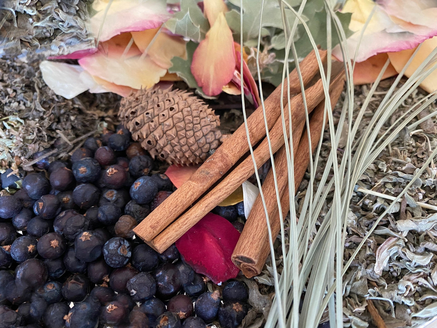 Mabon Herbs + Autumn Equinox