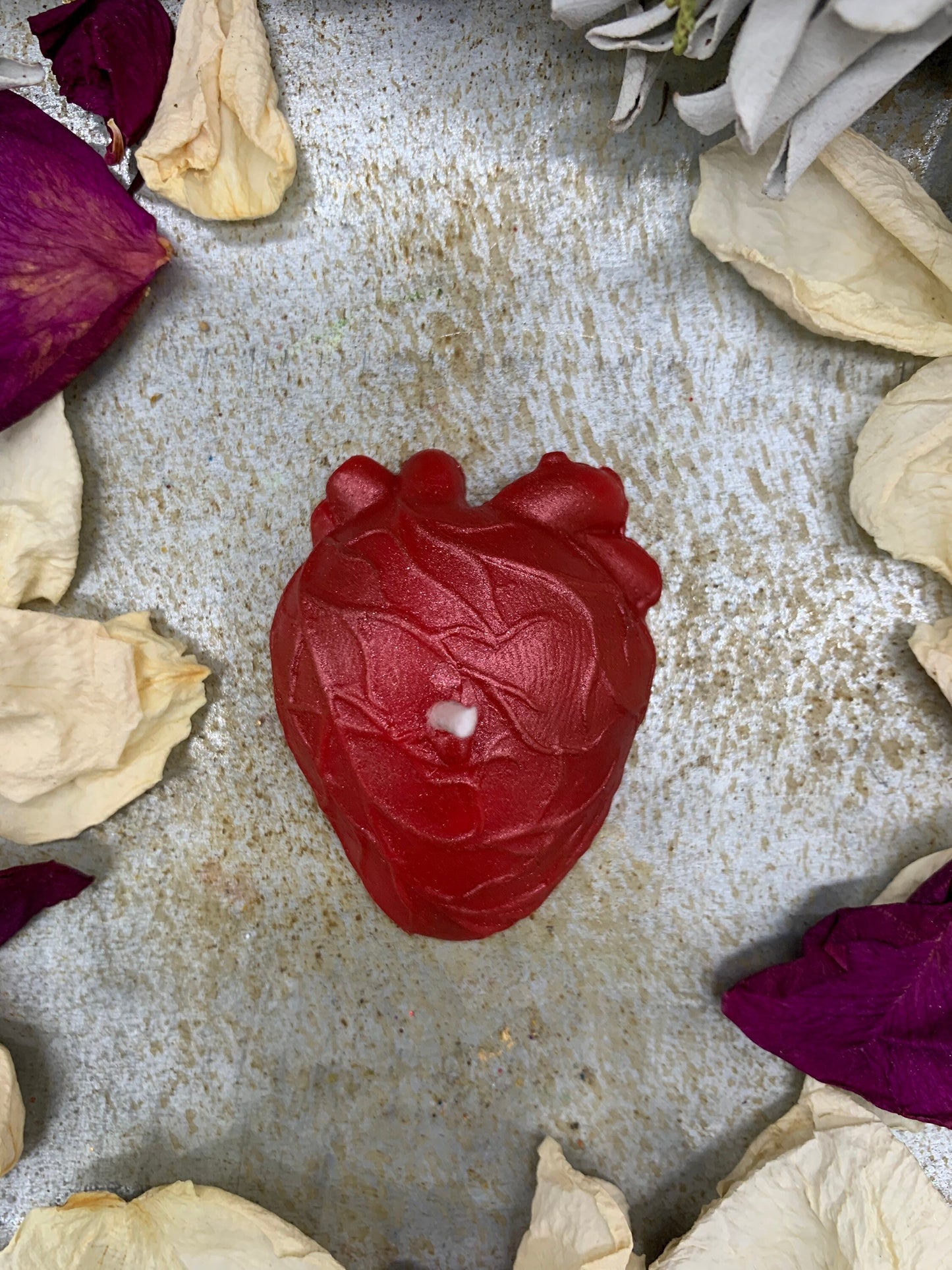 Small Anatomical Heart Candles in Gift Box + Love
