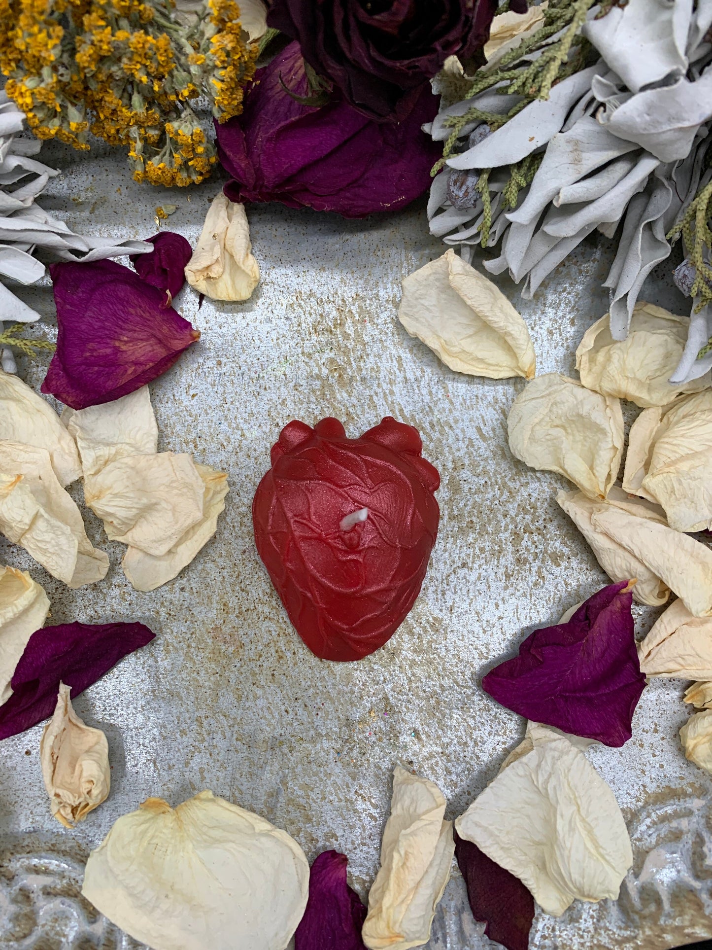 Small Anatomical Heart Candles in Gift Box + Love