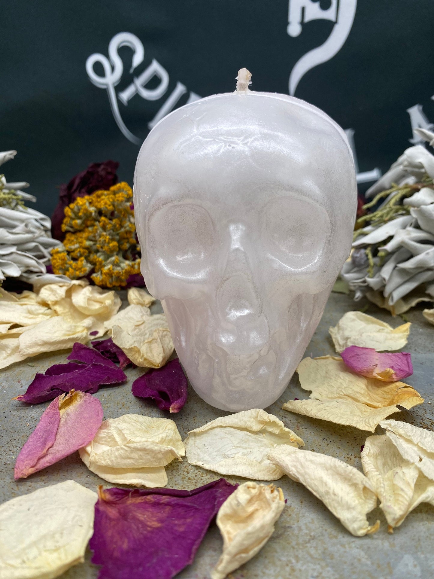 Two-Faced Skull Candle + Backstabber + Gossiper + Undecided + Of Two Minds