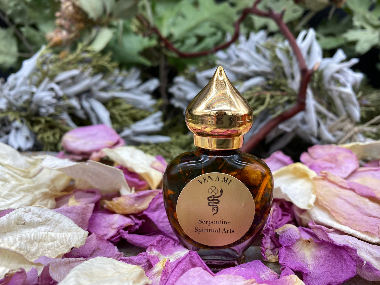 Ven a Mi Oil (Come to Me) + Most Popular!