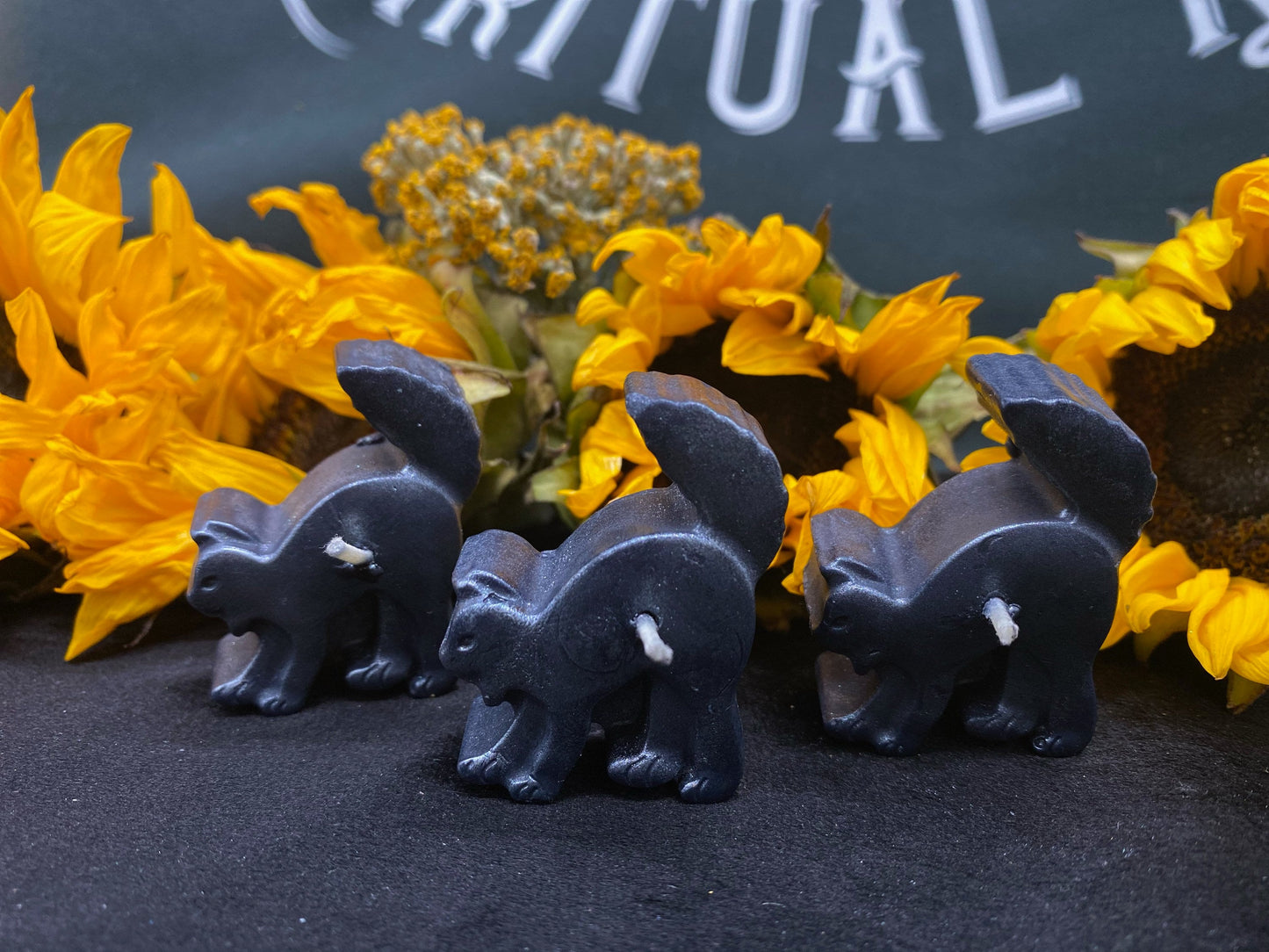Scaredy Black Cat Tealight Candles + Gift Box + Black Arts + Gato Negro + Samhain + Halloween