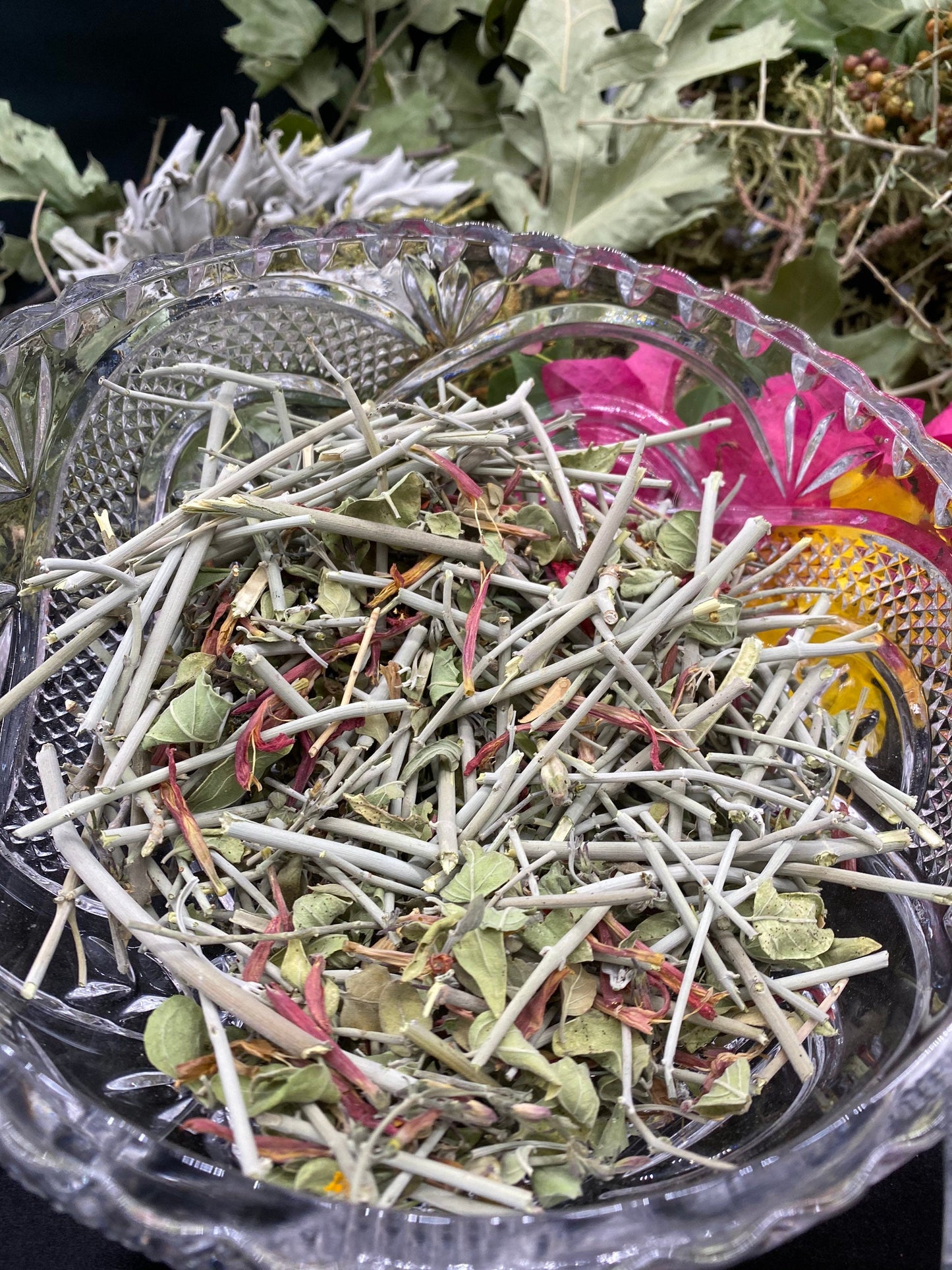 AUTHENTIC Chuparrosa! Wildcrafted! + Chuparosa + Flowers, Leaves, & Stems + Currently in Season! Limited Supply + Short Growing Season