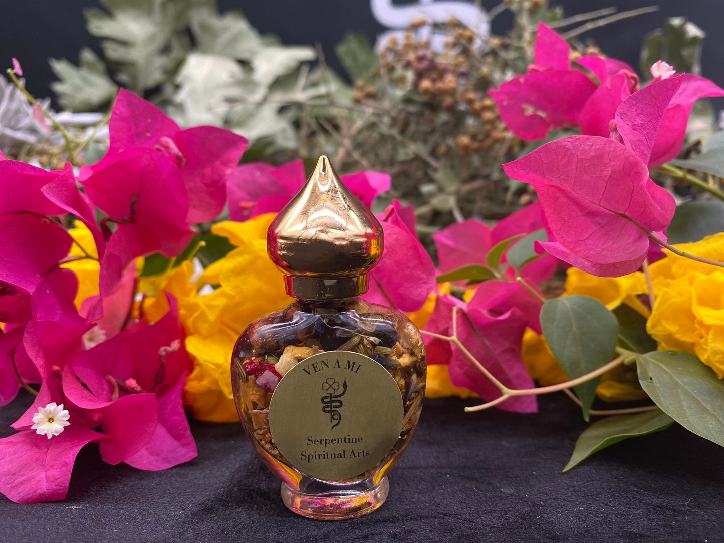 Ven a Mi Oil (Come to Me) + Most Popular!