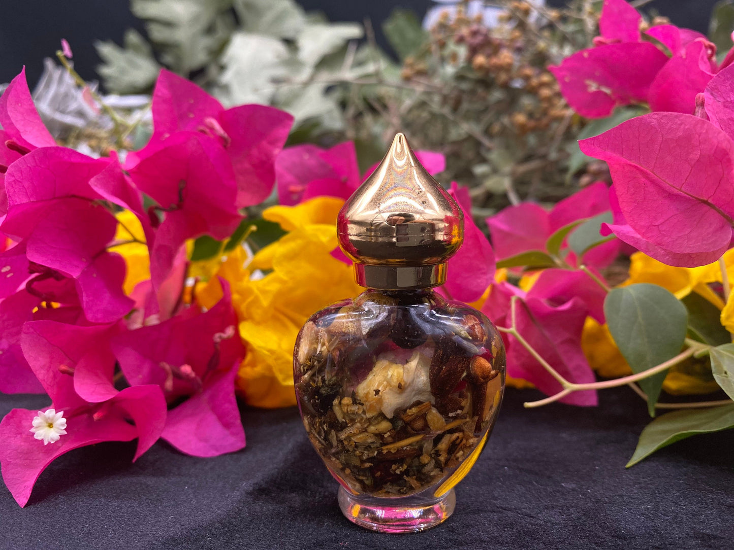 Ven a Mi Oil (Come to Me) + Most Popular!