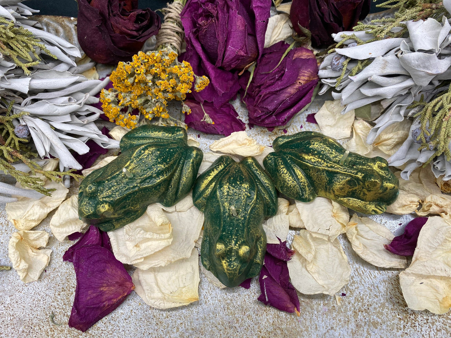 Three Frog / Toad Candles + Healing + Money + Luck + Saint Cyprian