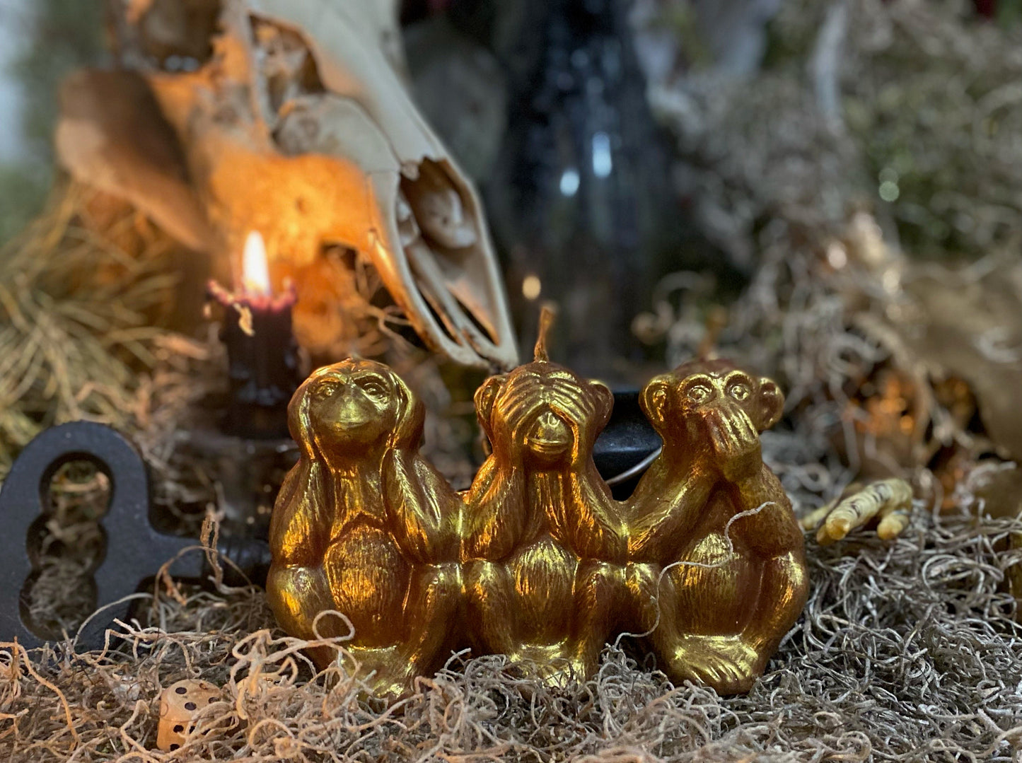 Three Wise Monkeys Candle + Hear No Evil + See No Evil + Speak No Evil + Stop Gossip & Jealousy + Wishes + Hide Spells