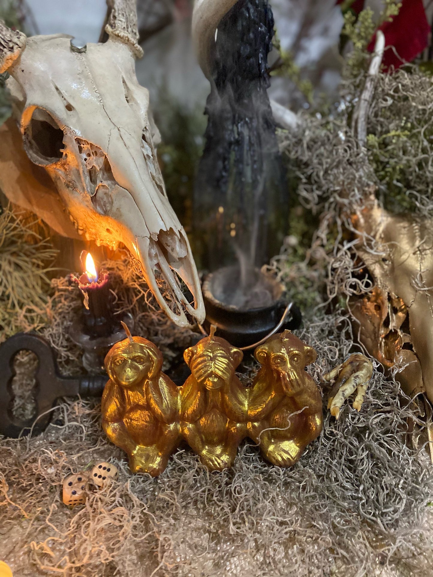 Three Wise Monkeys Candle + Hear No Evil + See No Evil + Speak No Evil + Stop Gossip & Jealousy + Wishes + Hide Spells