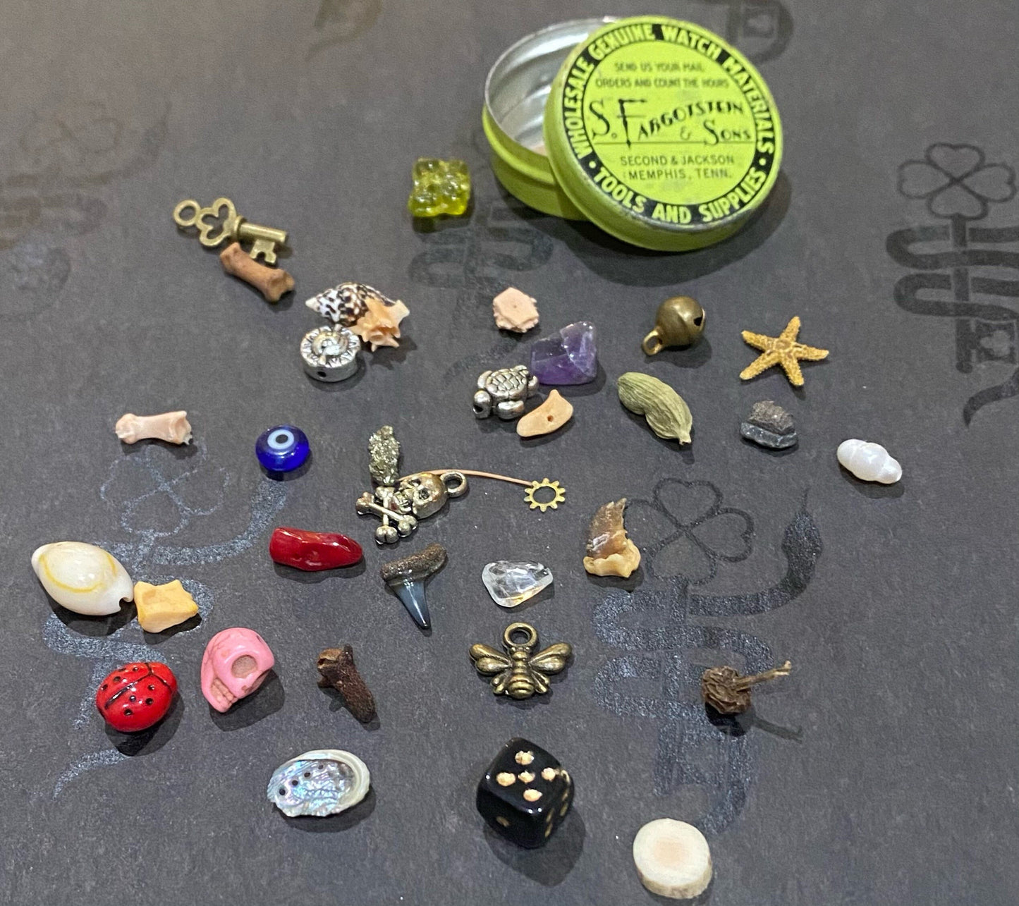 Small Vintage Fargostein Tinned Travel Bone, Shell, and Trinket Divination Collection (35 Pieces)