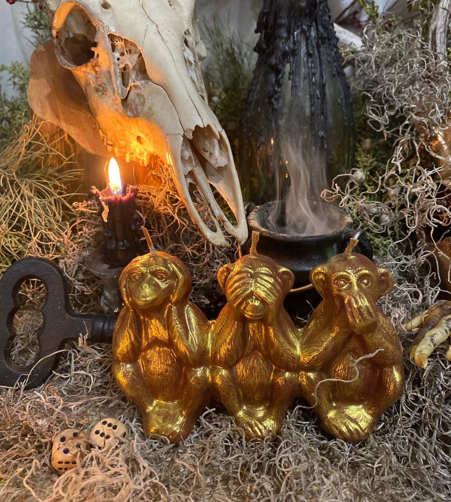 Three Wise Monkeys Candle + Hear No Evil + See No Evil + Speak No Evil + Stop Gossip & Jealousy + Wishes + Hide Spells