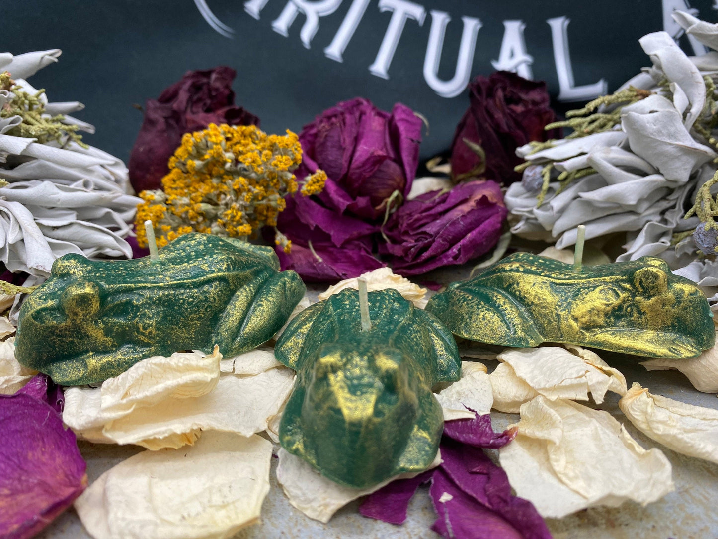 Three Frog / Toad Candles + Healing + Money + Luck + Saint Cyprian