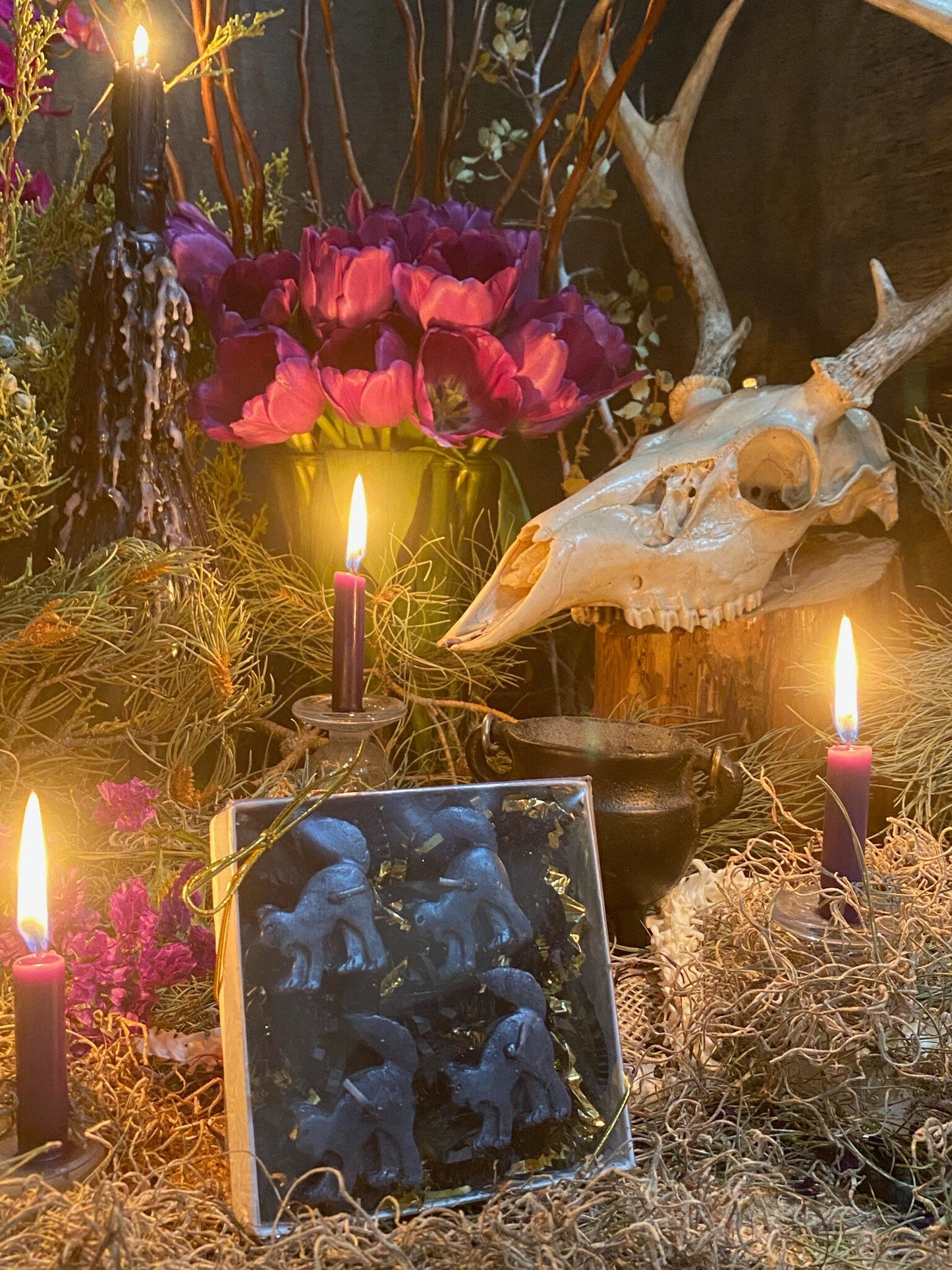 Scaredy Black Cat Tealight Candles + Gift Box + Black Arts + Gato Negro + Samhain + Halloween