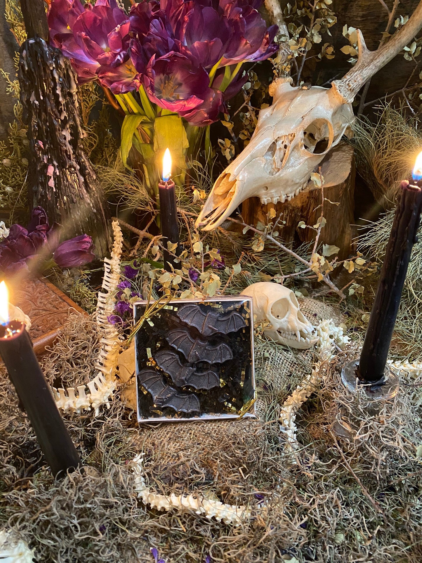 Bat Tealight Candles + Gift Box + Samhain + Halloween