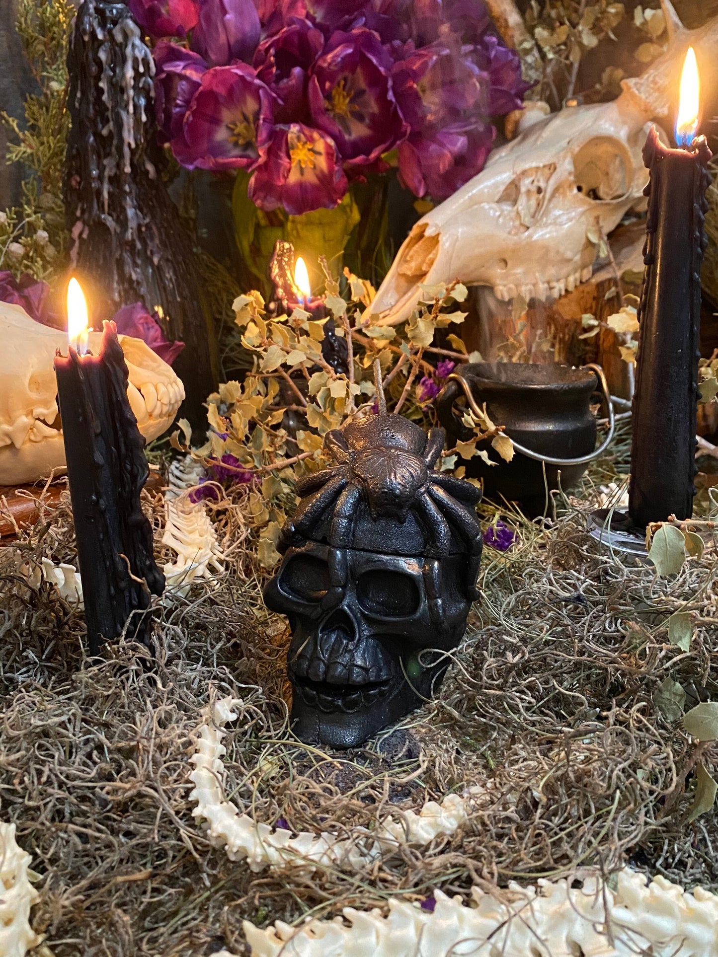 Loadable Spider on Skull Candle + Destroy Enemies + Domination