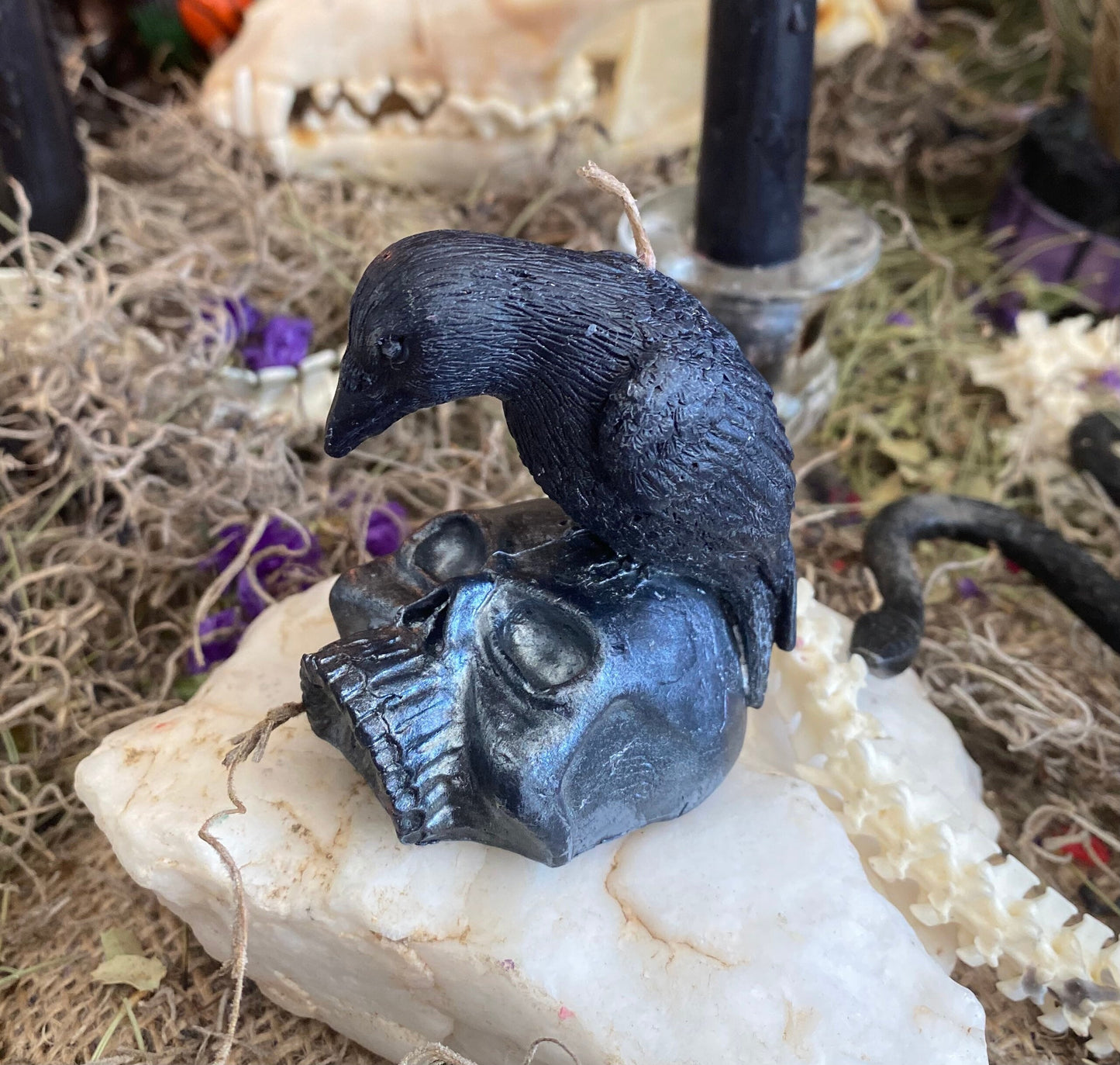 Raven or Crow on Skull Candle
