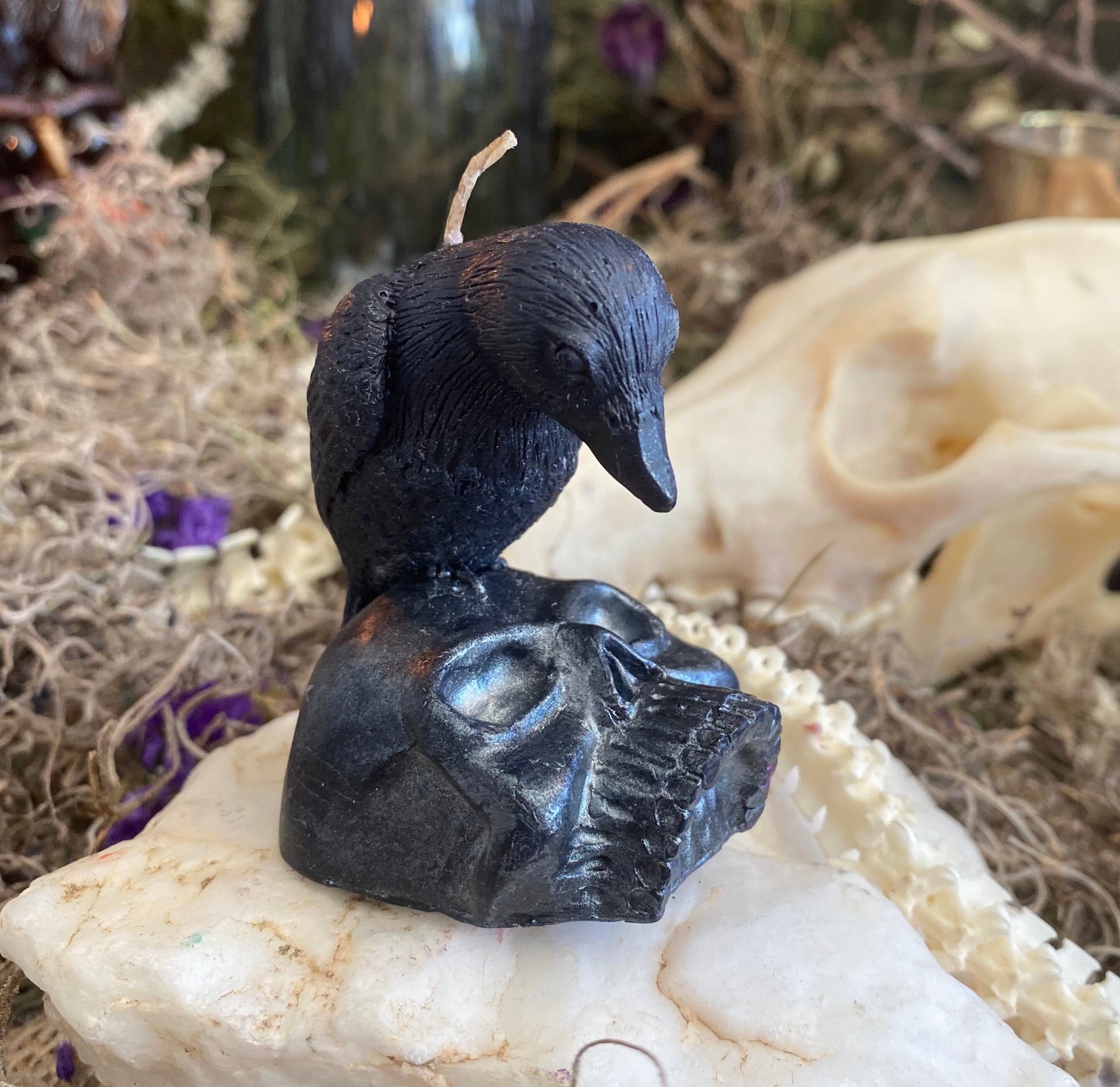 Raven or Crow on Skull Candle