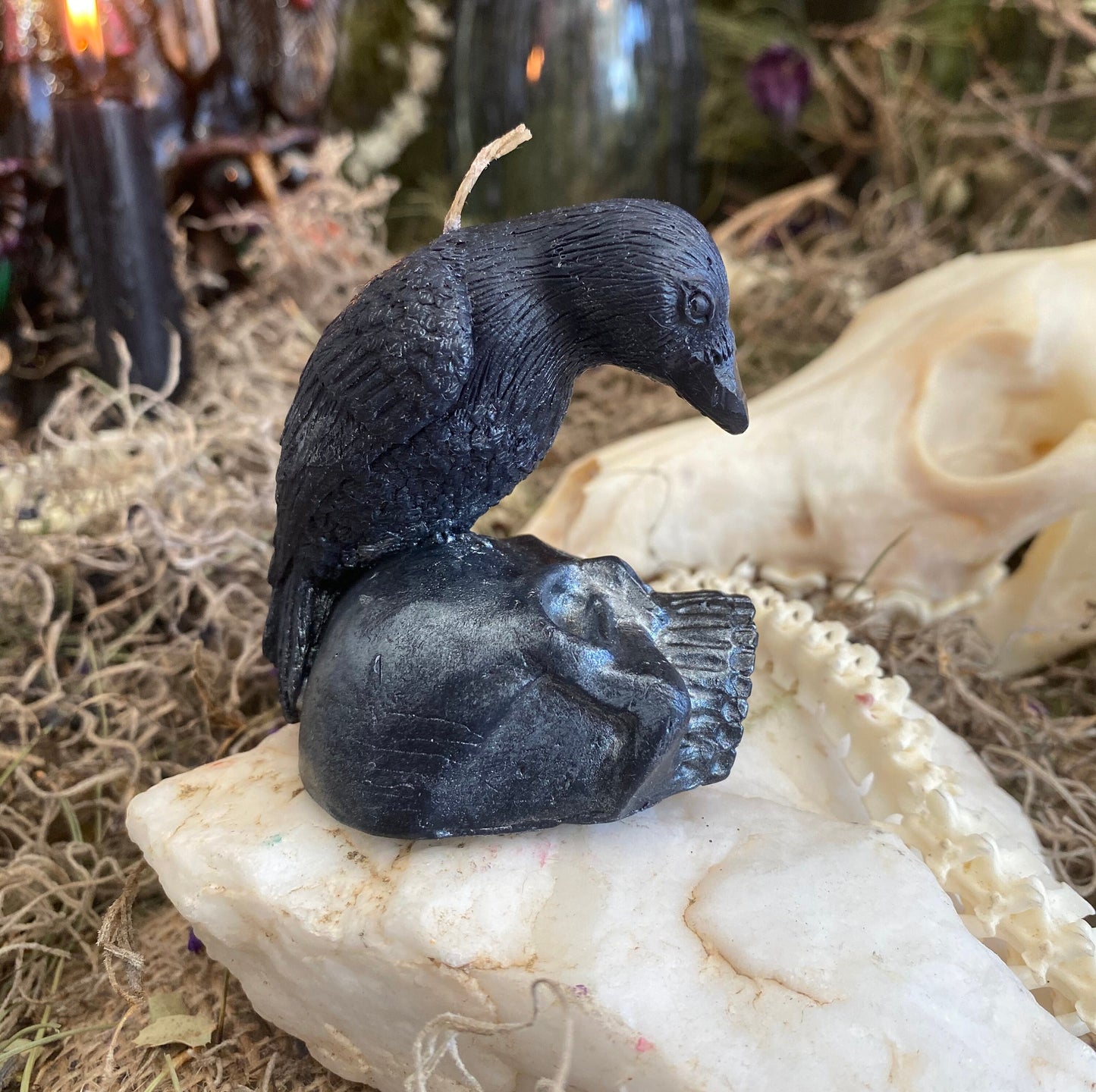 Raven or Crow on Skull Candle