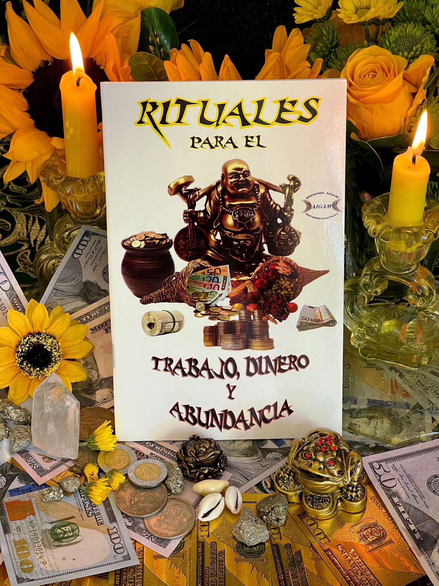 Rituals para el Trabajo, Dinero, y Abundancia + From Mexico *NEW BOOK*