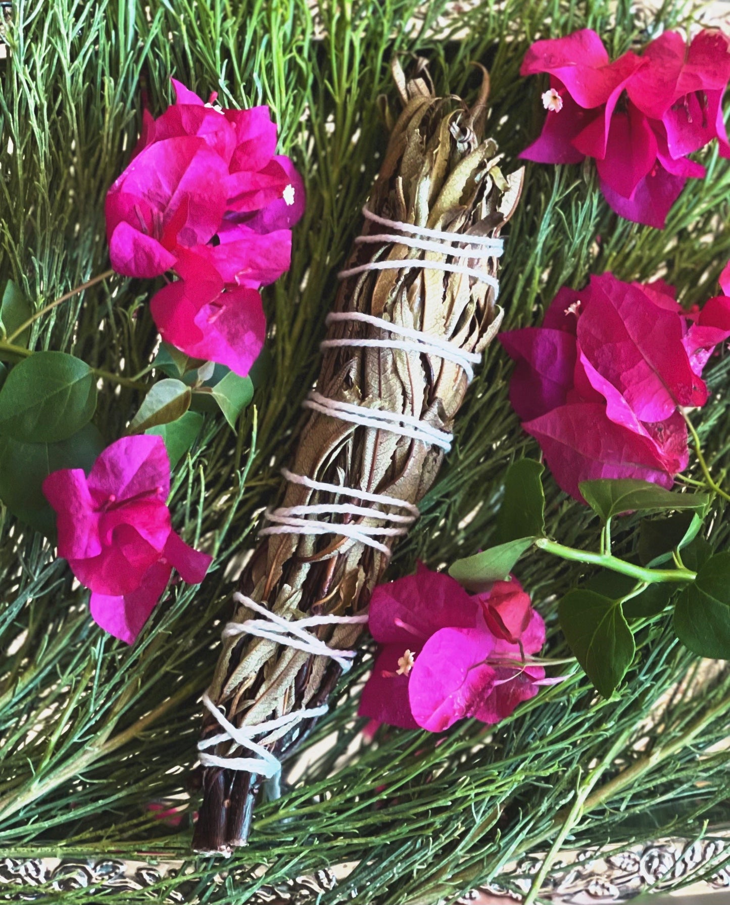 FRESH Wildcrafted Yerba Santa Torch / Bundle with Natural Hemp Twine + Eriodictyon californicum