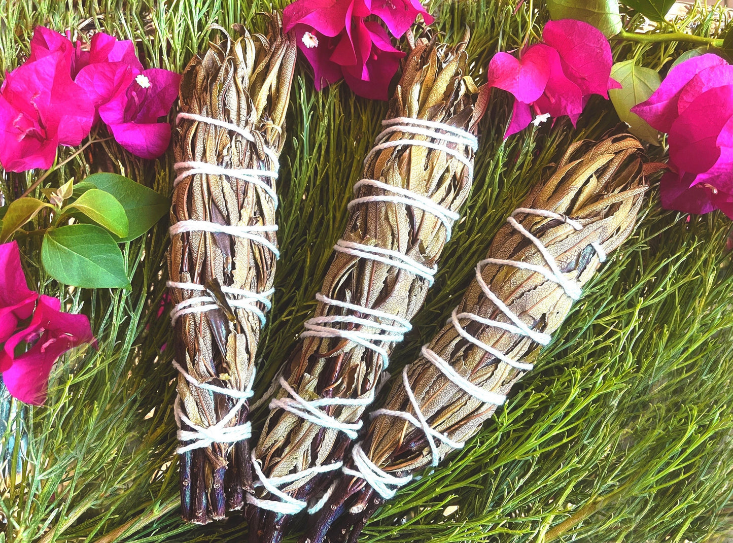 FRESH Wildcrafted Yerba Santa Torch / Bundle with Natural Hemp Twine + Eriodictyon californicum
