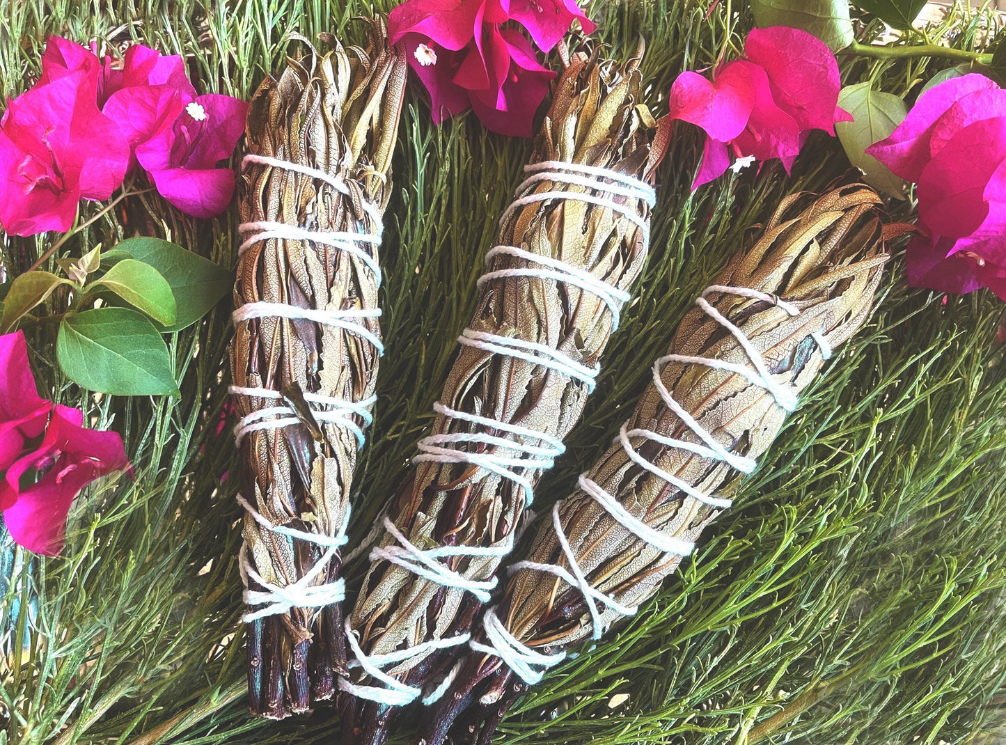 FRESH Wildcrafted Yerba Santa Torch / Bundle with Natural Hemp Twine + Eriodictyon californicum