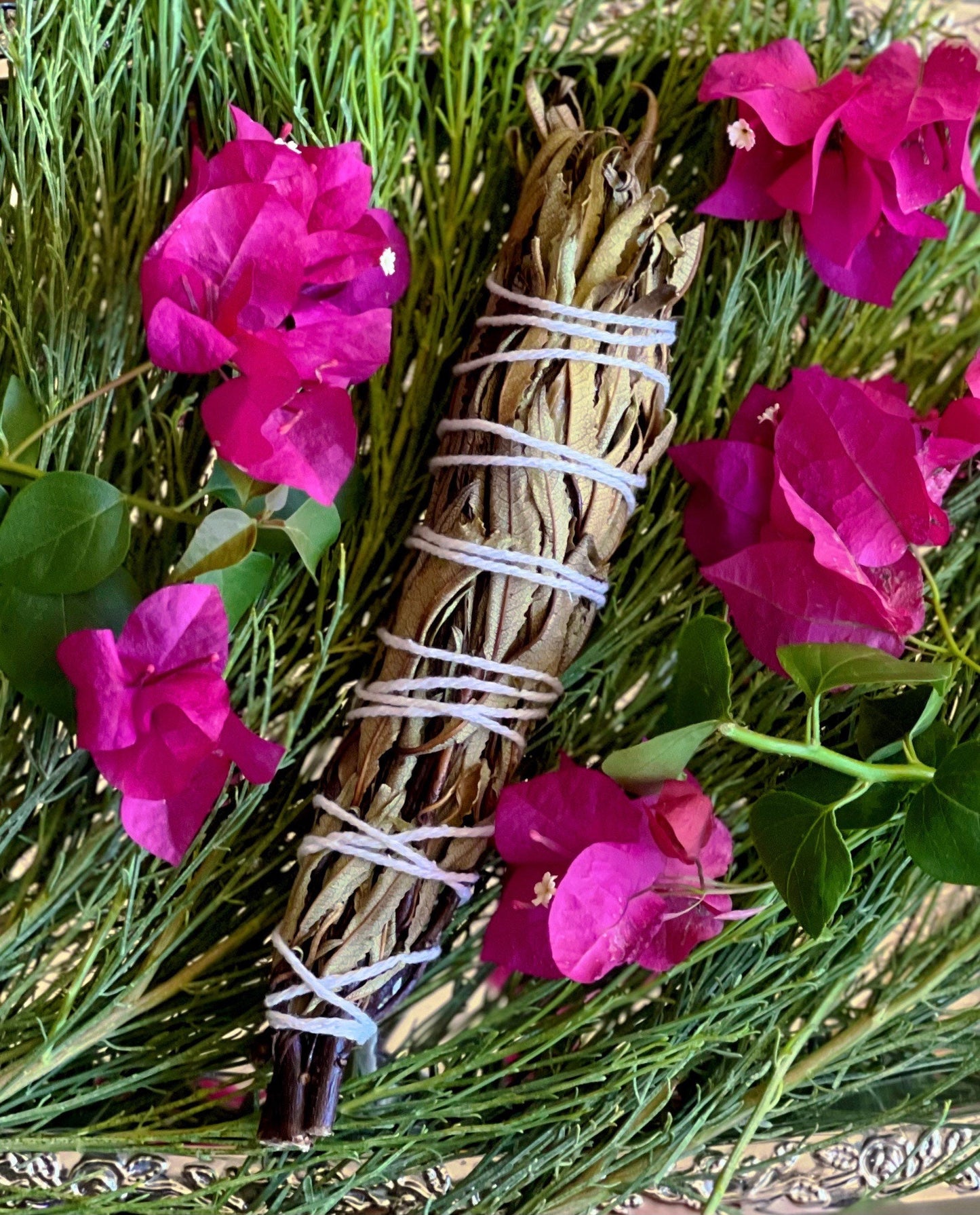 FRESH Wildcrafted Yerba Santa Torch / Bundle with Natural Hemp Twine + Eriodictyon californicum