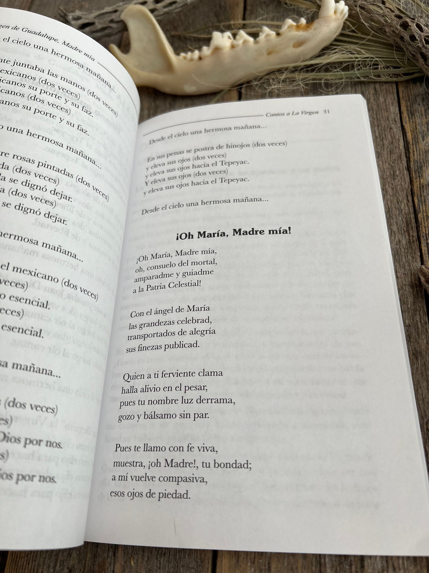 Guadalupe: Madre Mia + New Book From Mexico