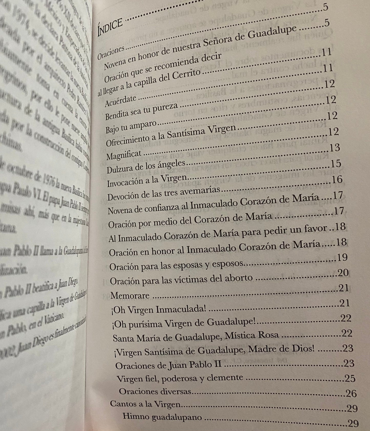 Guadalupe: Madre Mia + New Book From Mexico