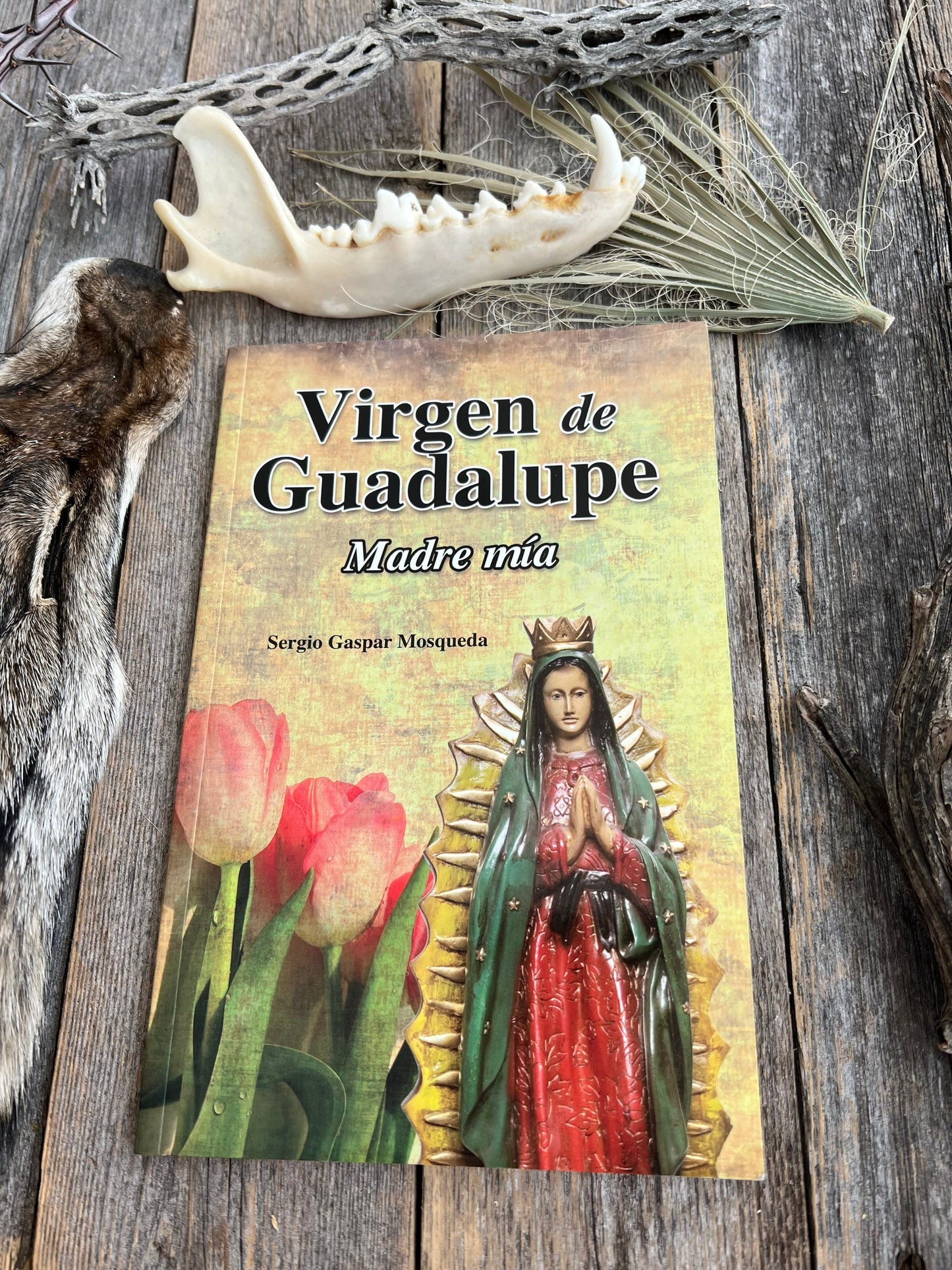 Guadalupe: Madre Mia + New Book From Mexico