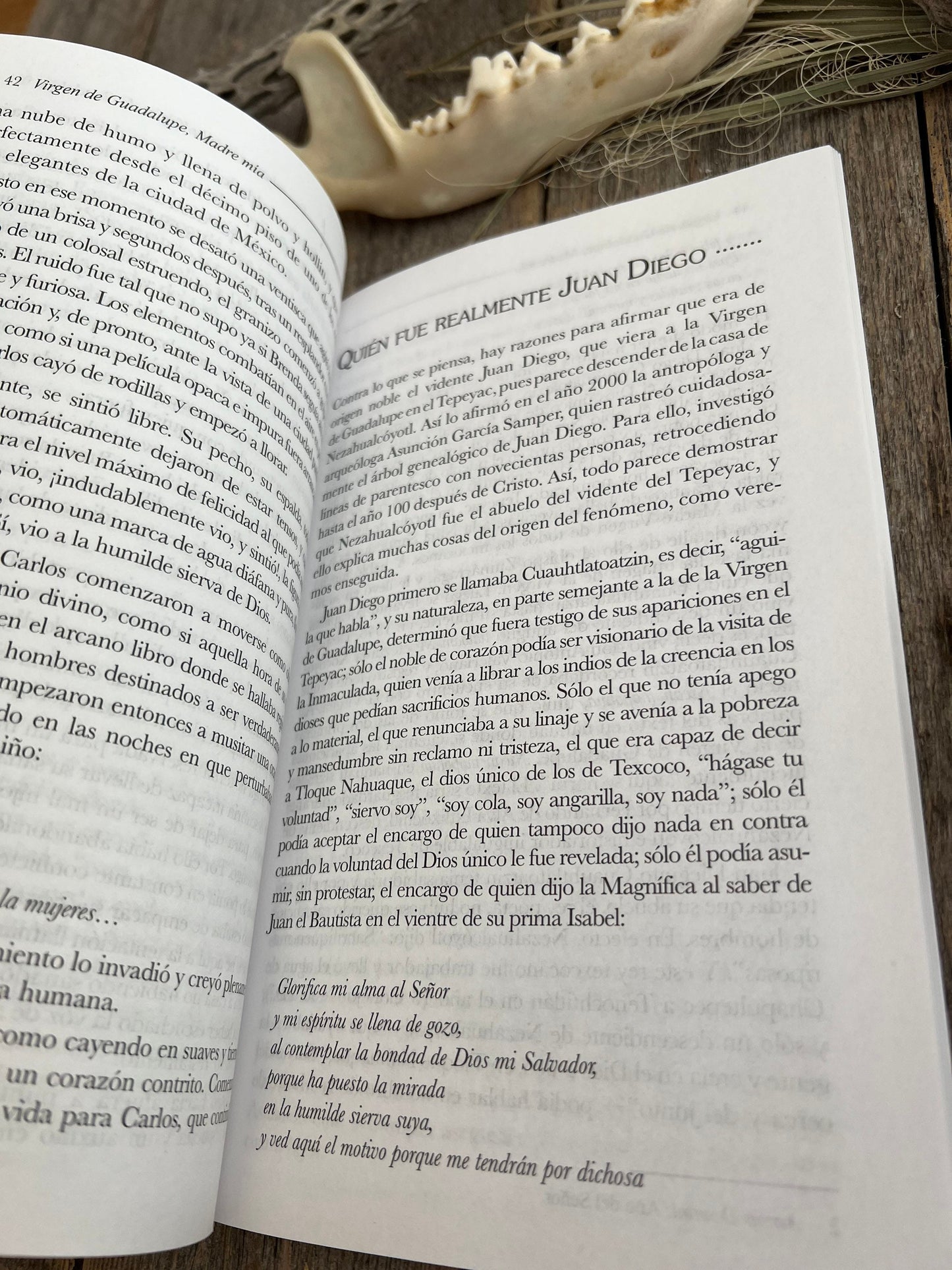 Guadalupe: Madre Mia + New Book From Mexico