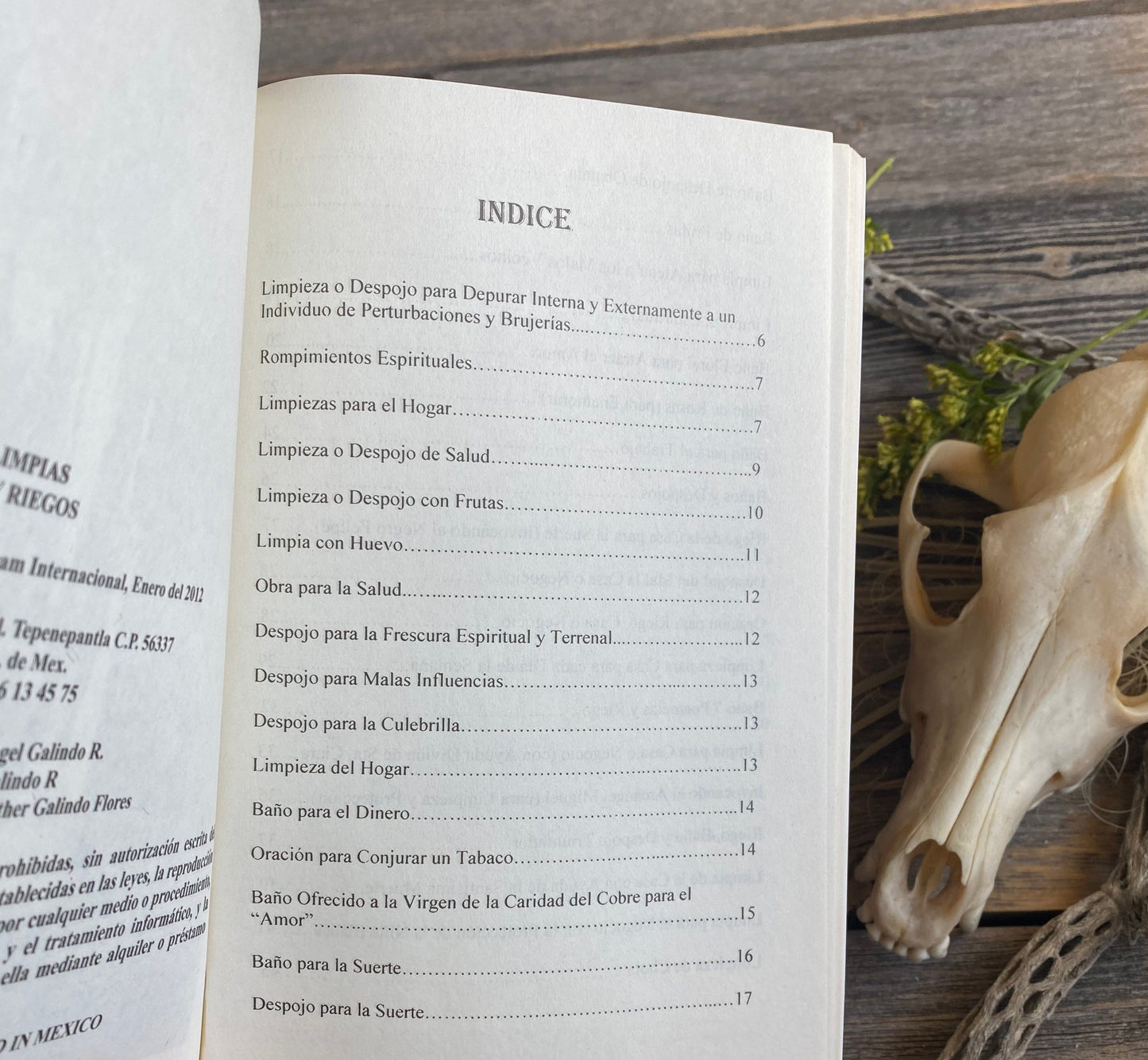 Baños, Limpias, Despojos, and Riegos + From Mexico *NEW BOOK* Libro