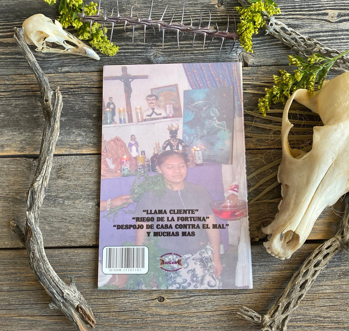 Baños, Limpias, Despojos, and Riegos + From Mexico *NEW BOOK* Libro