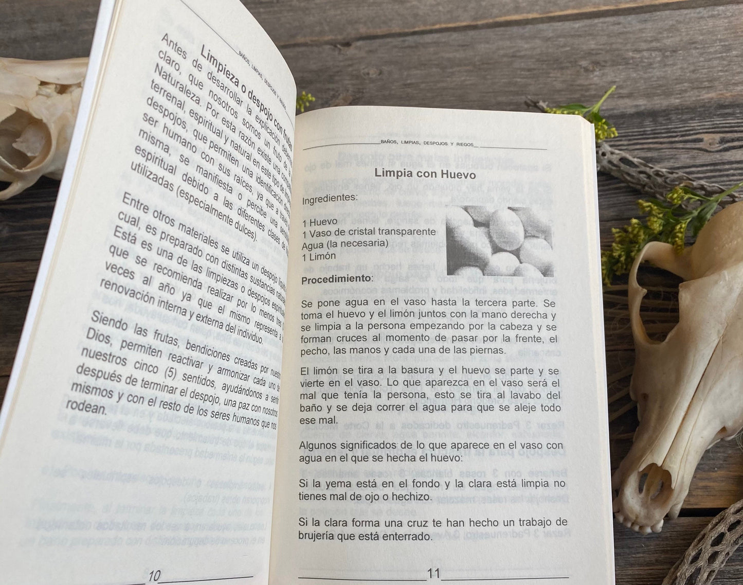 Baños, Limpias, Despojos, and Riegos + From Mexico *NEW BOOK* Libro