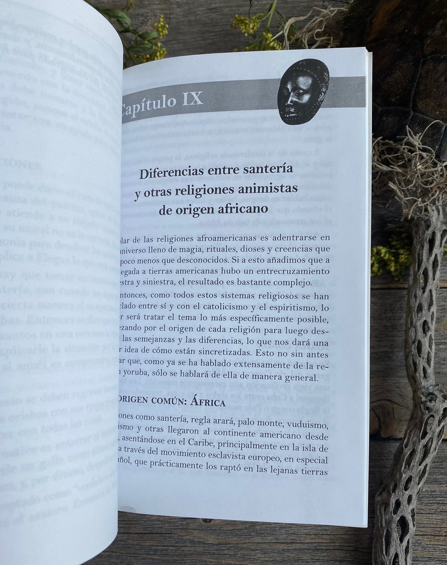 Los Orígenes y Bases de la Regla de Ocha + From Mexico *NEW BOOK* Libro