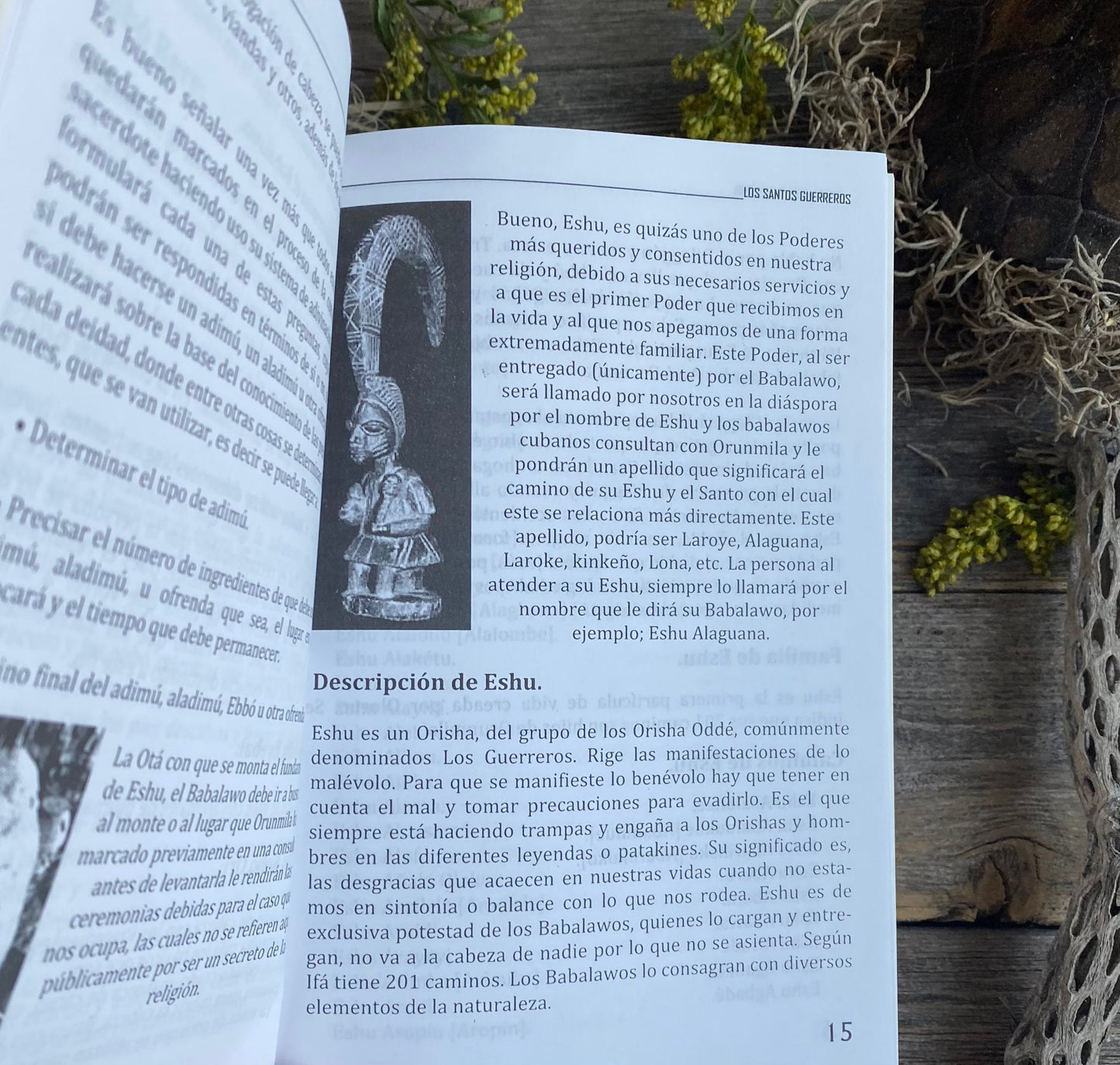 Santería: Los Santos, Guerreros en Ifa + From Mexico *NEW BOOK* Libro