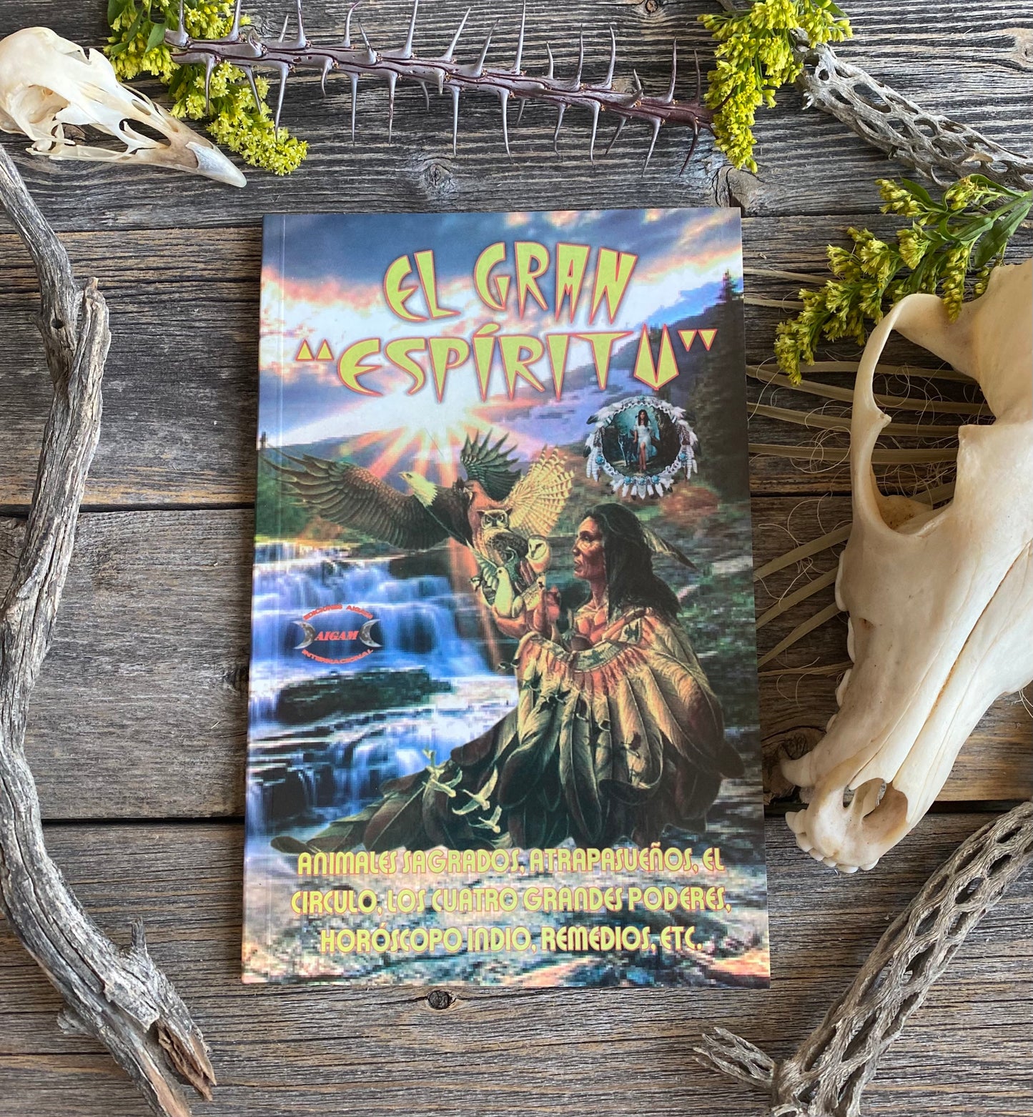 El Gran “Espiritu” + From Mexico *NEW BOOK* Libro