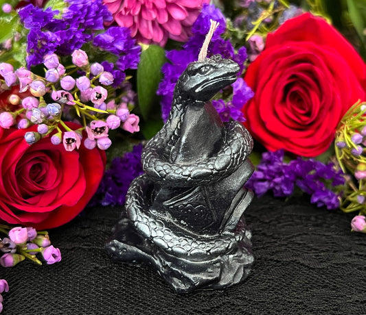 Snake & Genie Bottle Candle + Hex + Curse + Take Away Luck