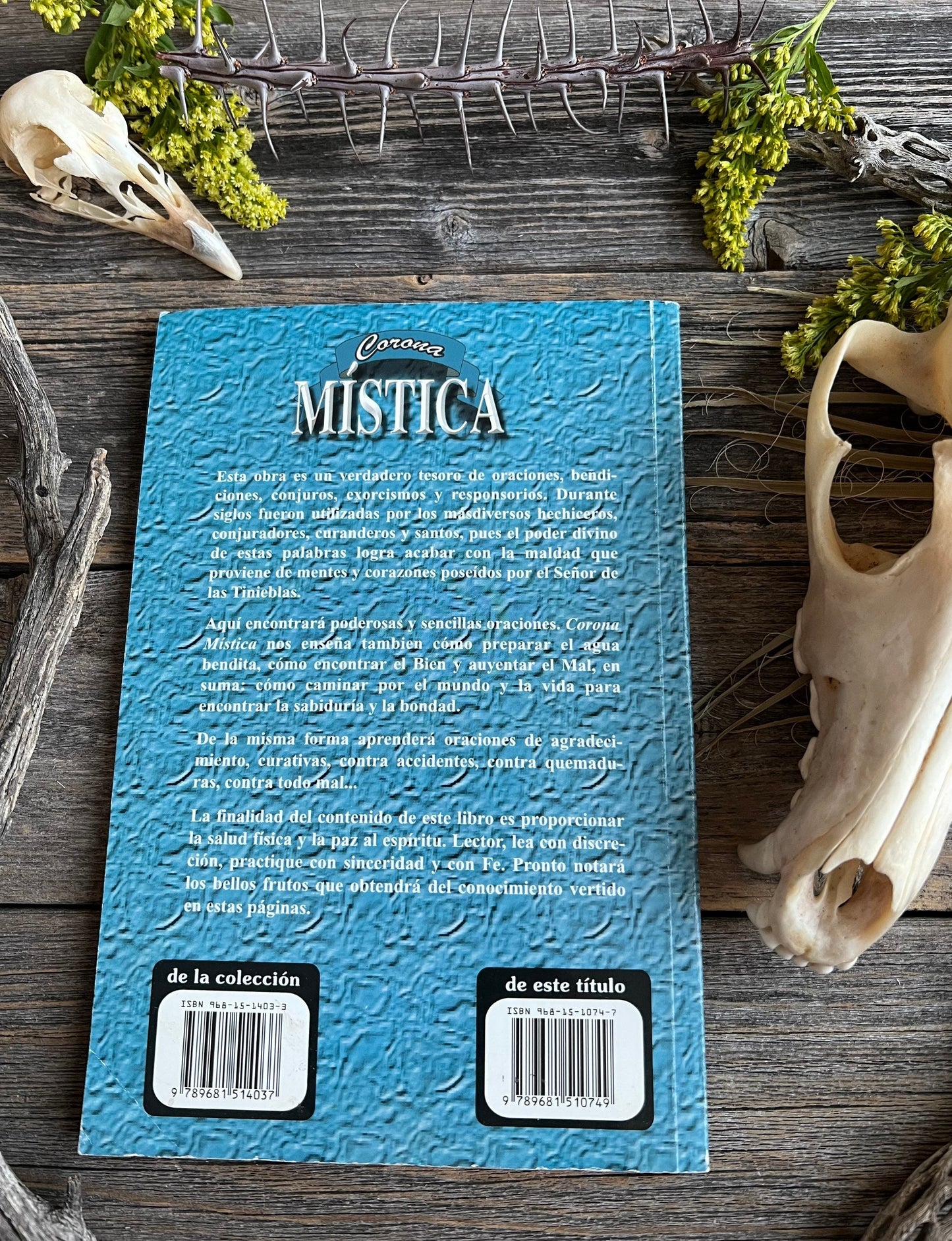 Corona Mística + From Mexico *NEW BOOK* Libro