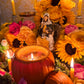 Anaisa Pye Love, Abundance, & Passion Lamp