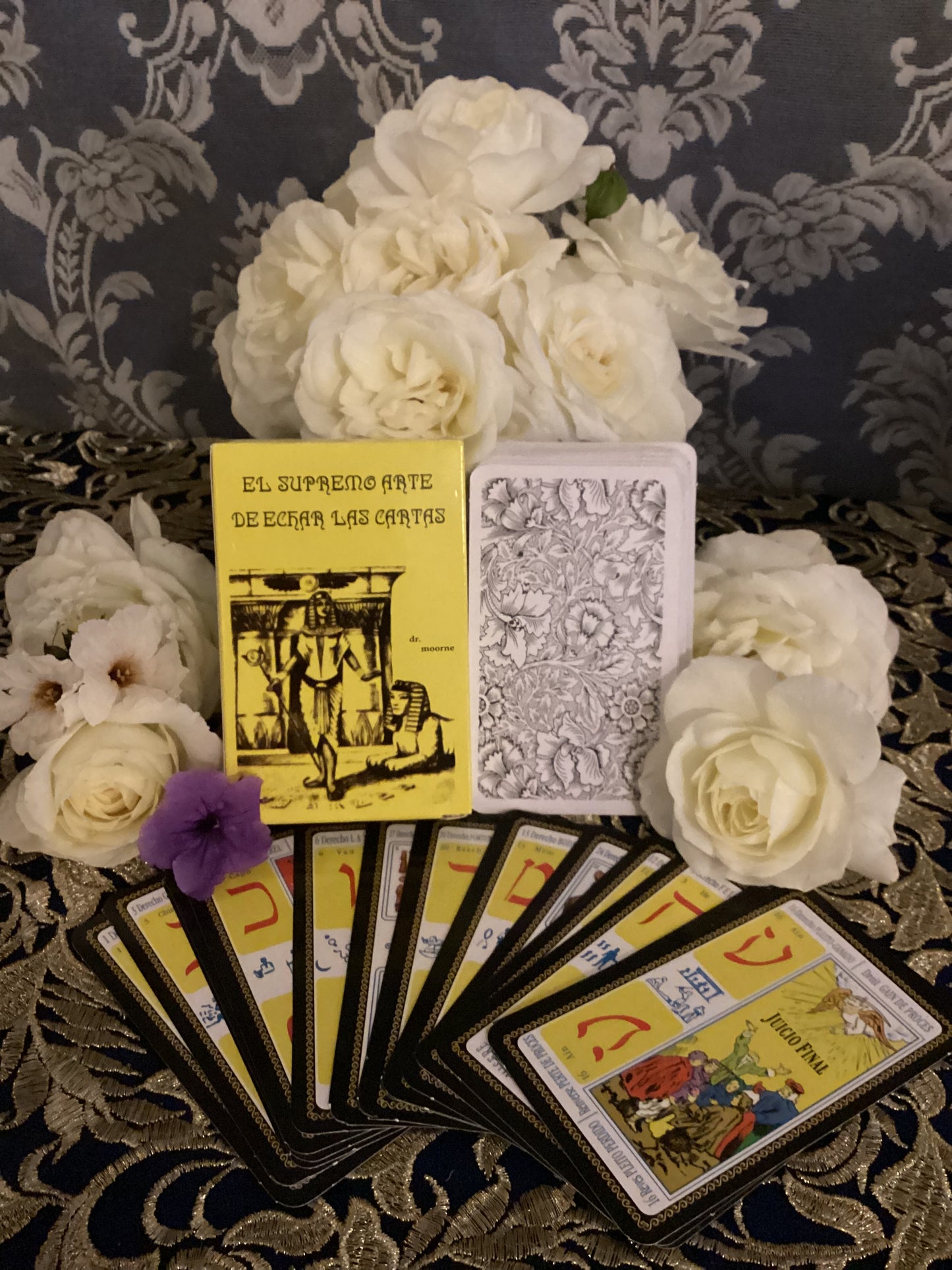 RARE Tarot Egipcio y Libro + El Supremo Arte de Echar las Cartas + Blessed + Fortune-Telling Deck and Book + From Mexico