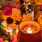 Anaisa Pye Love, Abundance, & Passion Lamp
