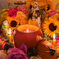 Anaisa Pye Love, Abundance, & Passion Lamp