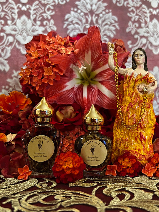 Anima Sola Oil + Bring Back Lover + Domination + Money + Protection from Enemies and Evil + Love Spell